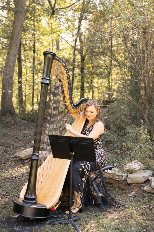 Professional Harpist - 2