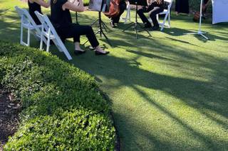 The Vanderbilt Strings - 5