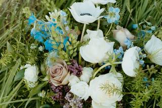 Torey Rohde Photography - 7