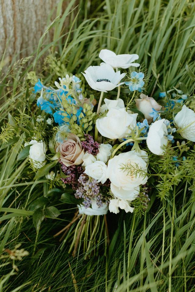 Torey Rohde Photography - 2