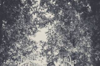 Majestic Gardens - 18