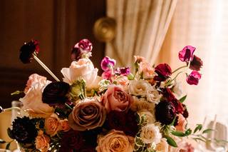 Katherine Elizabeth - 6