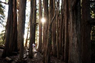 Angela Nelson Photography - 6