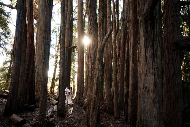 Angela Nelson Photography - 3