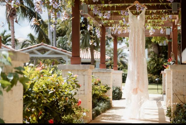 Denise Mason Photography - 1