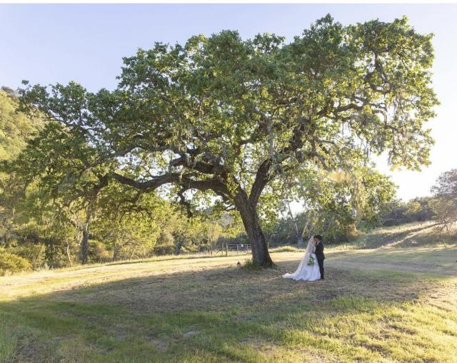 Dreamfield Photography - 4