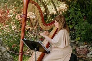 Beverly Arnold, Harpist - 10