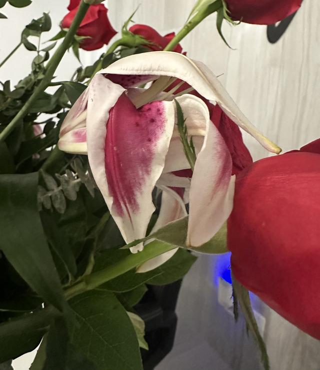 Design Works Flowers - 1