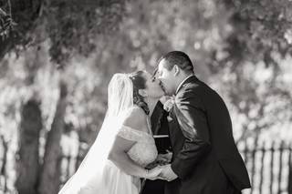 Chasing Chickadees Photography - 31