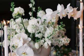 The Capital Flower Fairy - 13