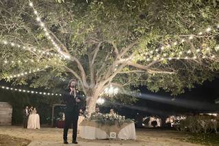 A Secret Garden - 21