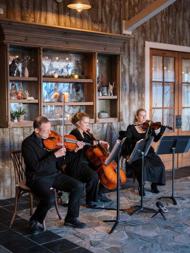 The Bloom Trio & Event Musicians - 1