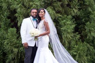 The Wedding Analyst - 7