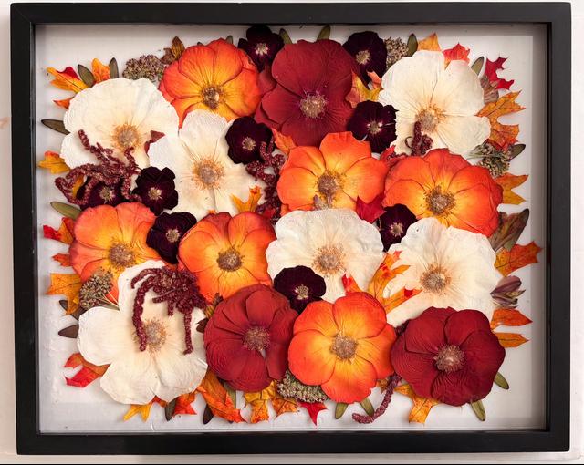 White Poppy Preservation - 3