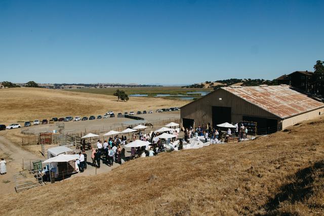 Reis River Ranch Winery Tasting Room - 4