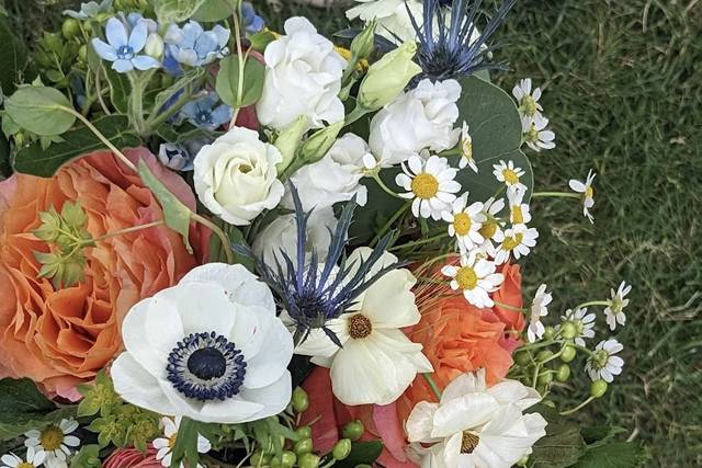 Petal Pushers 1