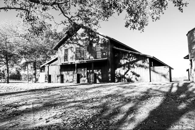 Tannenbaum Farm of Hayden - 1