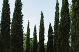 Milagro Farm Winery - 6