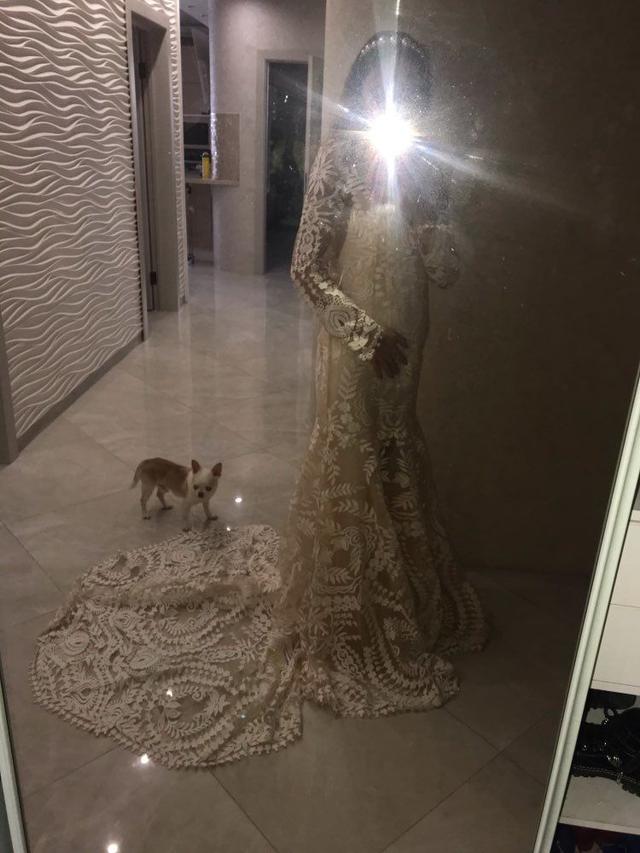 SOS Wedding Dress - 1