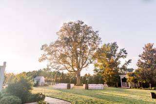 Amber Grove - 21