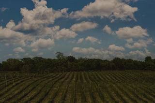 Zach Dalin Photography - 10