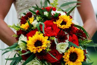 Shado of a Rose Photography - 74