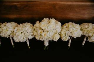 Fields in Bloom - 19