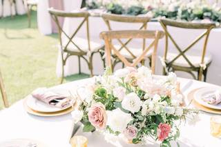 Lovely Peonies - 70