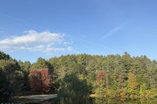 Viscosi Photography - 13