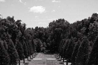 Zimmerman Photography - 7