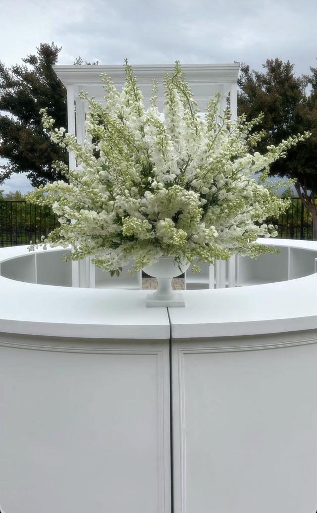 Dream Flowers - 2