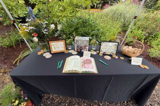 Stonas Wedding and Events - 11