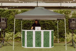 MSE- Mobile Sound Entertainment - 8