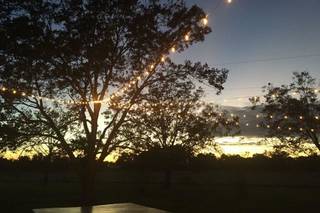Tampa Lights - 12