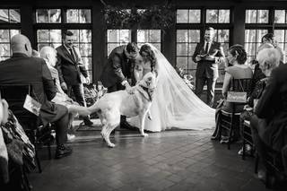 Arius Photography - 13