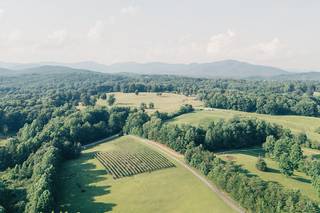 Dahlonega Resort and Vineyard - 7