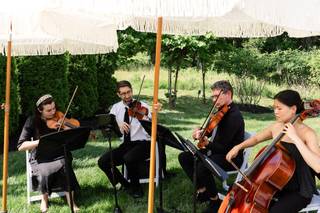 The Delmonico String Quartet - 5