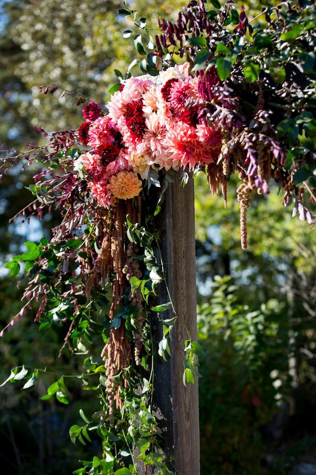 Timmester Photography - 2