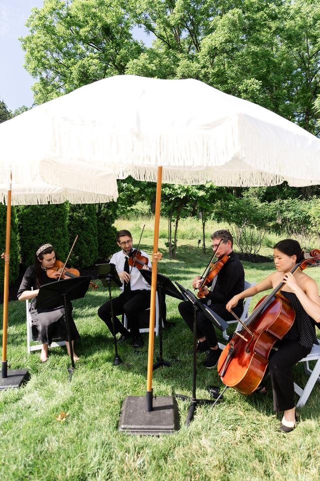 The Delmonico String Quartet - 2