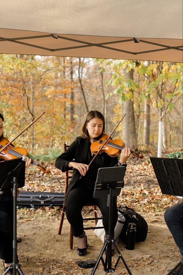 Apollo Chamber Music - 1