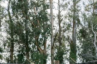 Walnut Grove At Tierra Rejada Farm - 9