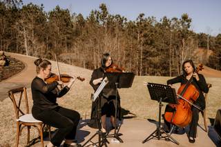 Chastain String Quartet - 3