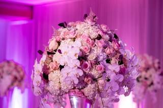 Peacock Premier Events - 18