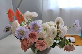 Phlox Tale Studio - 38