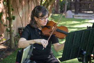 Eliana Strings - 14