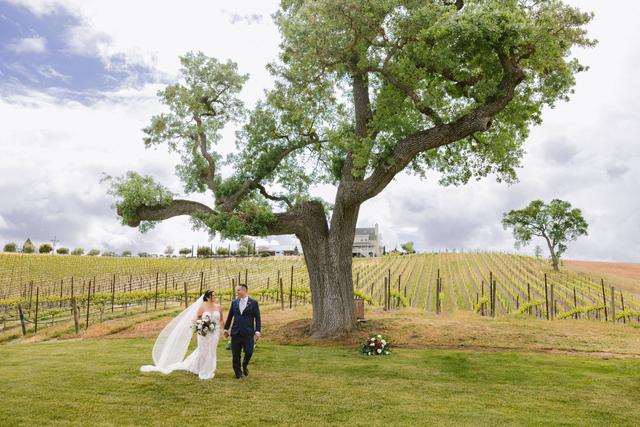 Ella's Vineyard - 4