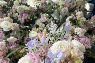 Daydream Floral - 44
