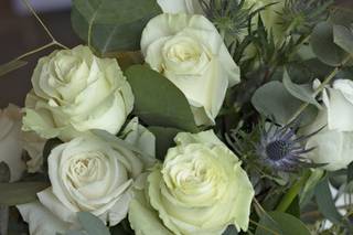 Trotter's Floral - 11