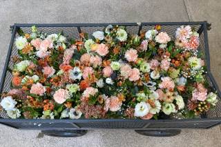 Ido-Floral - 31