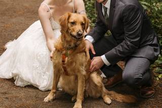 Kiley Stephens Photography - 8